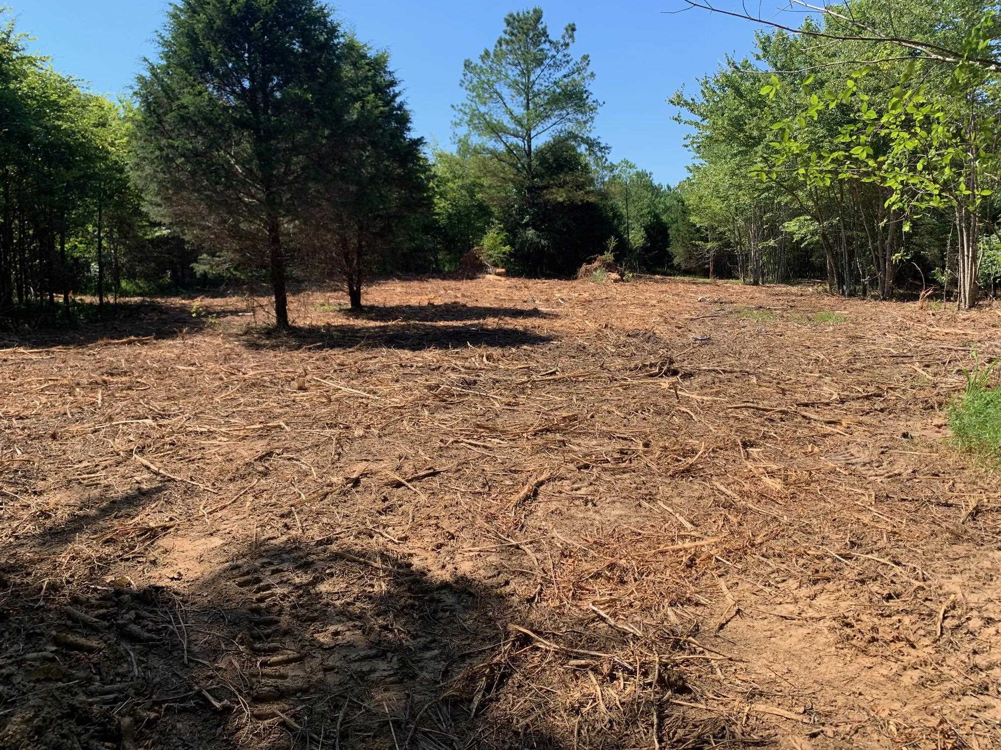 Mullins Road Luray, TN 38352 - Photo 3 of 10