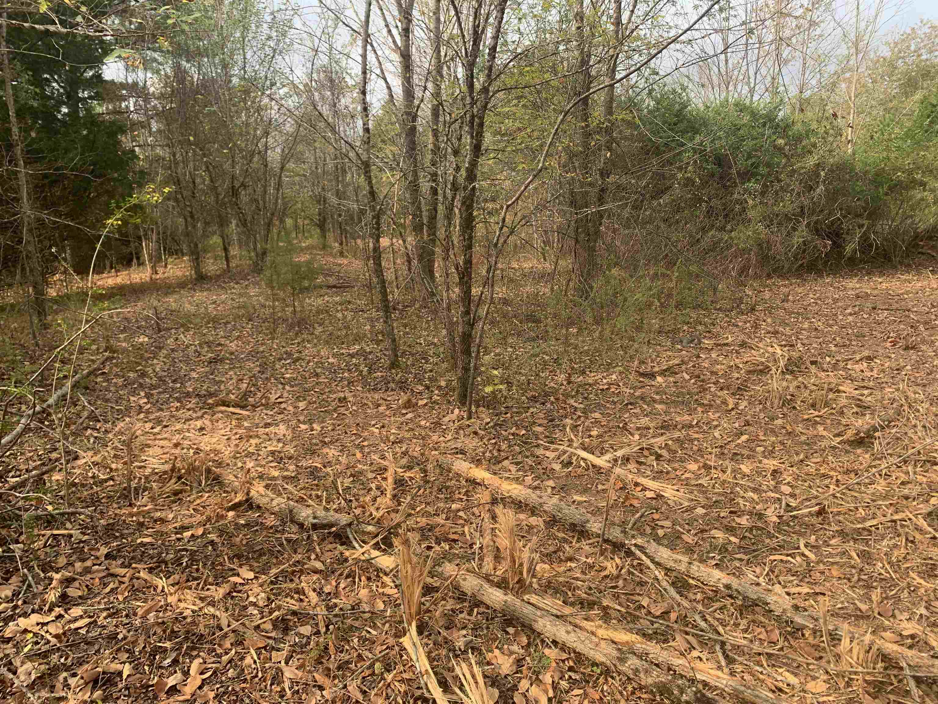 Mullins Road Luray, TN 38352 - Photo 8 of 10
