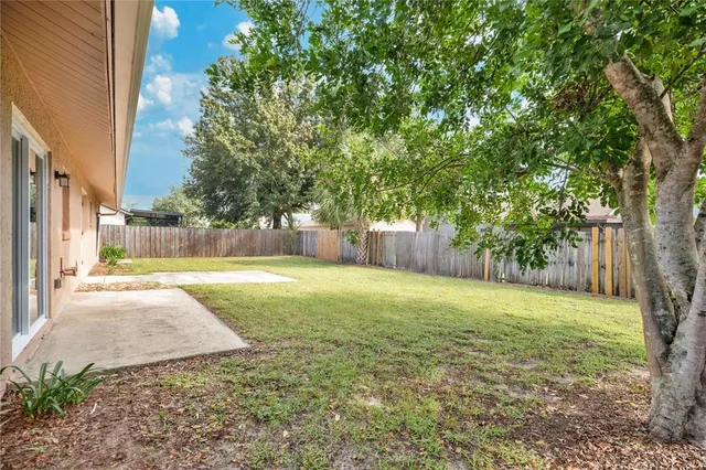 a view of a yard with a tree