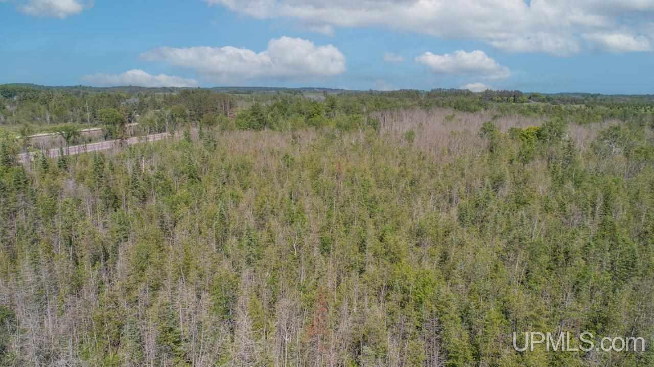 1 D-1 Road Wilson, MI 49896 - Photo 12 of 14