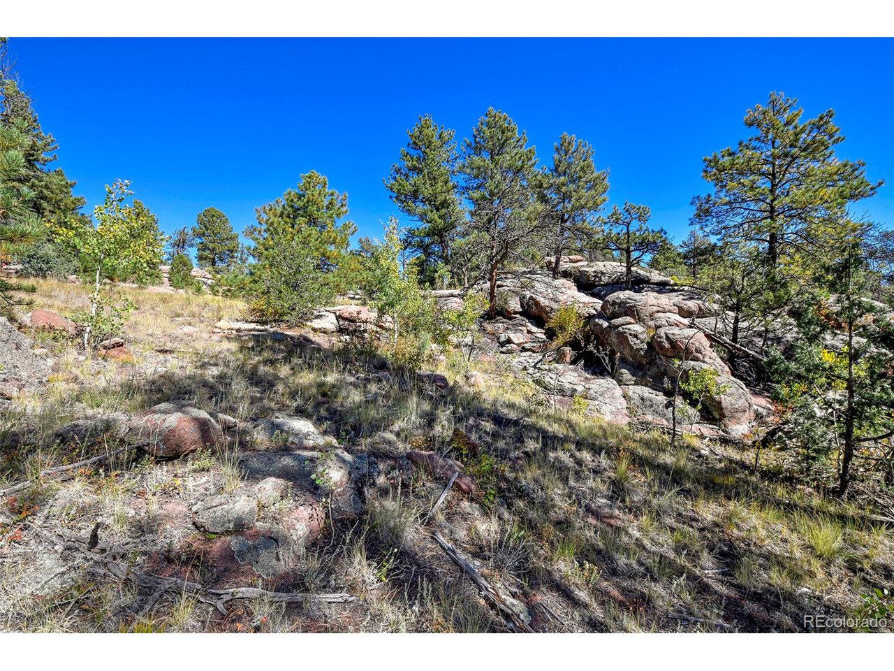 Carl Road Florissant, CO 80816 - Photo 11 of 37 a view of a city