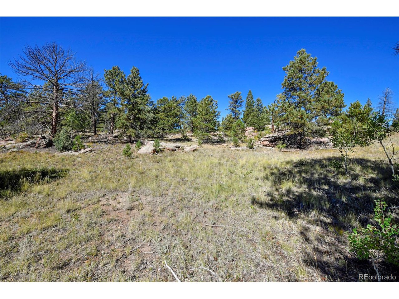 Carl Road Florissant, CO 80816 - Photo 12 of 37 a view of a yard