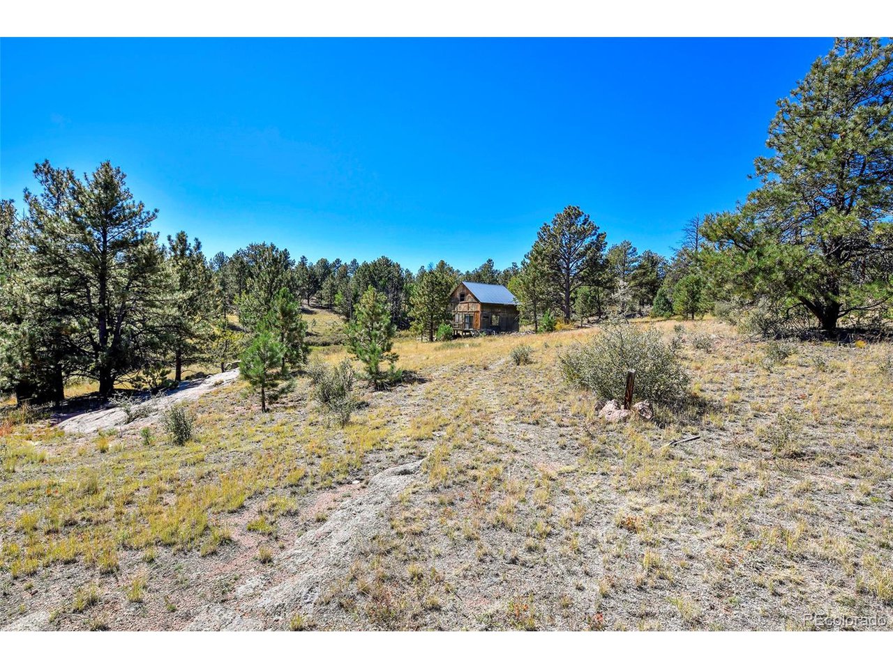Carl Road Florissant, CO 80816 - Photo 19 of 37 a view of a dry yard with trees