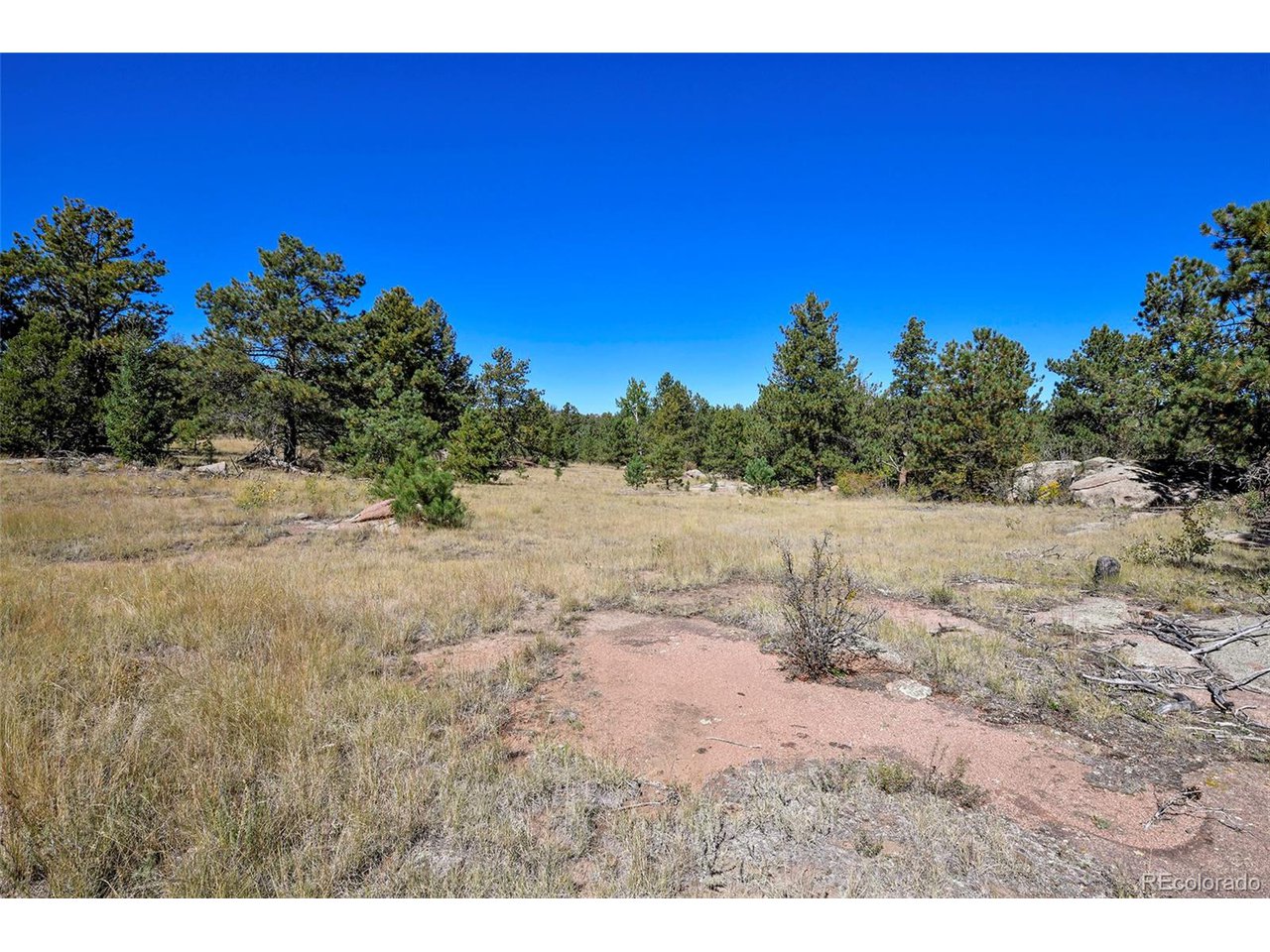 Carl Road Florissant, CO 80816 - Photo 20 of 37 a view of a yard with a tree