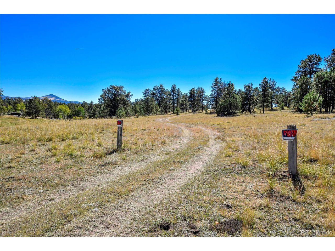 Carl Road Florissant, CO 80816 - Photo 2 of 37 a view of a field with an ocean