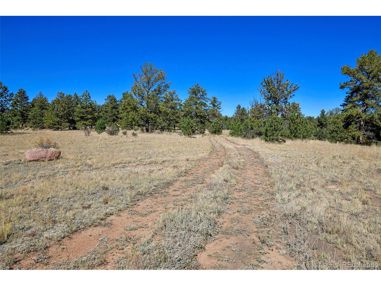 Carl Road Florissant, CO 80816 - Photo 4 of 37