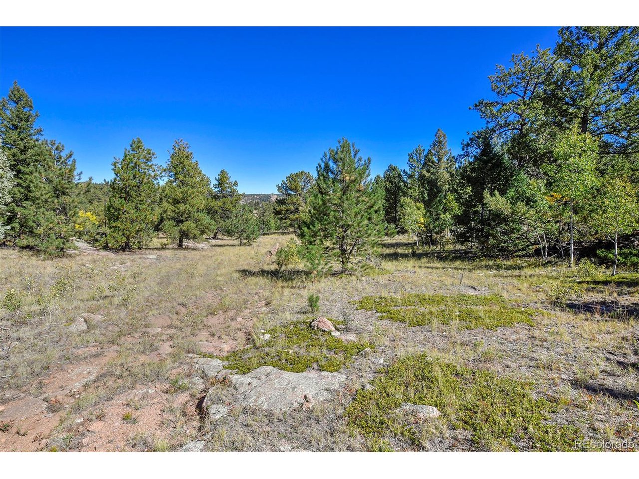 Carl Road Florissant, CO 80816 - Photo 5 of 37 a view of a field with trees in the background