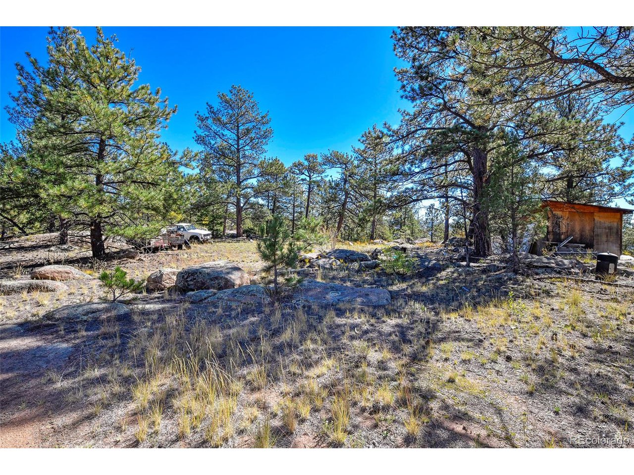Carl Road Florissant, CO 80816 - Photo 7 of 37 a view of a yard with a tree