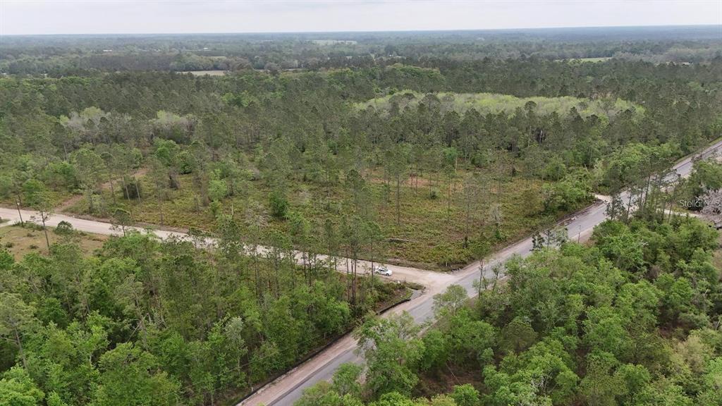 25 Southeast A Se County Road White Springs, FL 32096 - Photo 5 of 18 a view of a lake with lots of trees