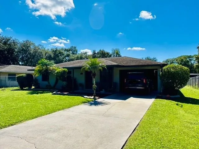 a view of a backyard with a garden and plants