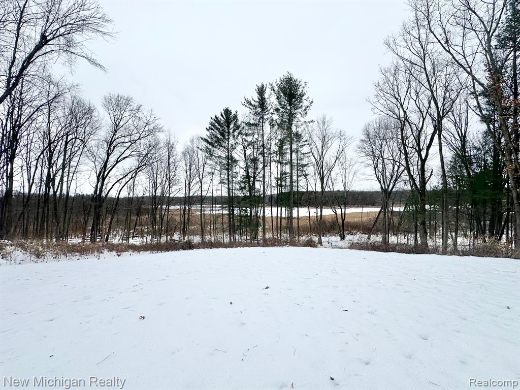 11461 White Lake Road Fenton, MI 48430 - Photo 10 of 33