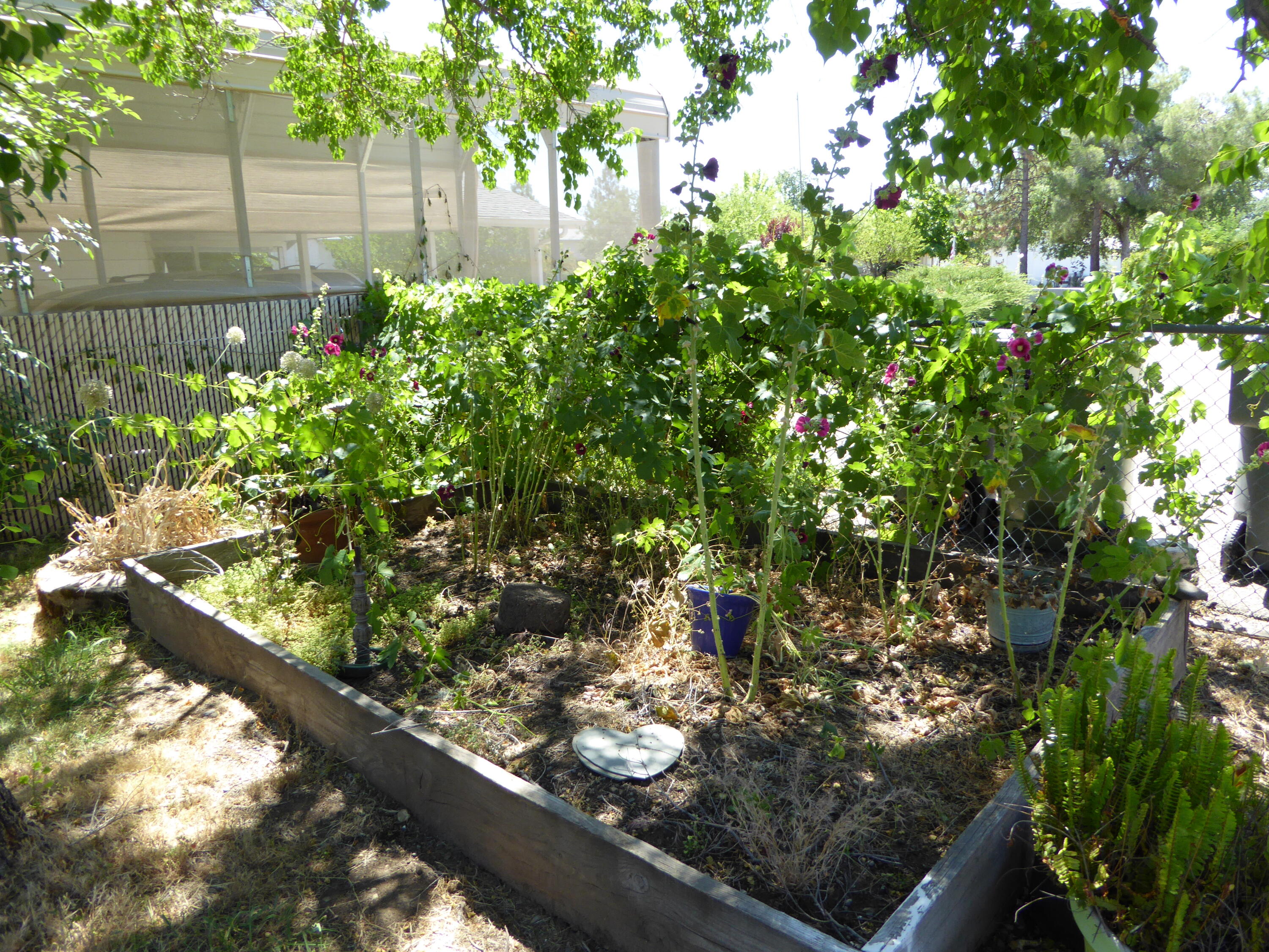 3350 Santa Rosa Way, Unit NONE Redding, CA 96003 - Photo 20 of 58 Garden_2