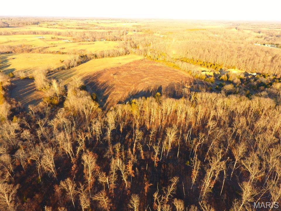 Tbd Van Horn Road Bland, MO 65014 - Photo 38 of 47