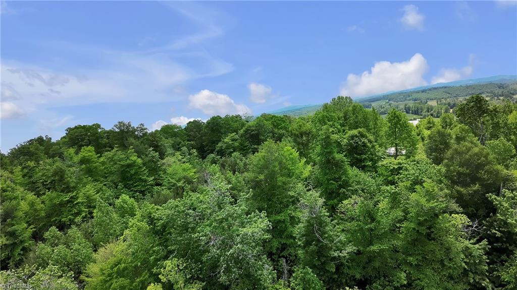 Tbd Factory Street Ronda, NC 28670 - Photo 11 of 15