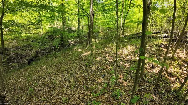 $79,900 | Tbd Factory Street, Ronda, NC 28670