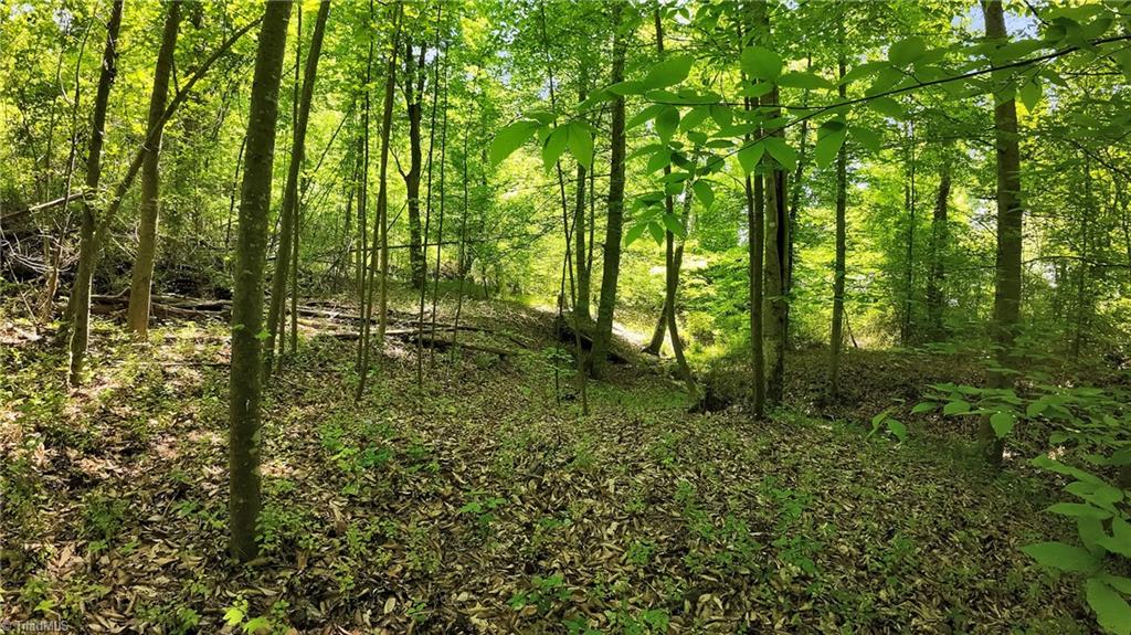 Tbd Factory Street Ronda, NC 28670 - Photo 3 of 15