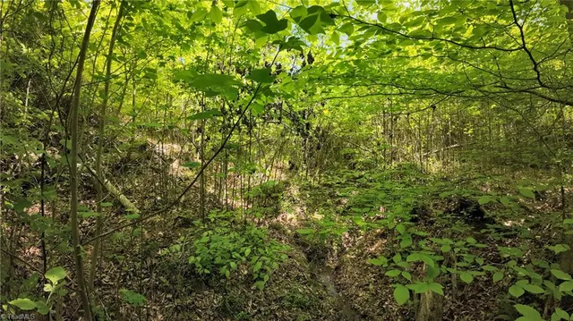 $79,900 | Tbd Factory Street, Ronda, NC 28670