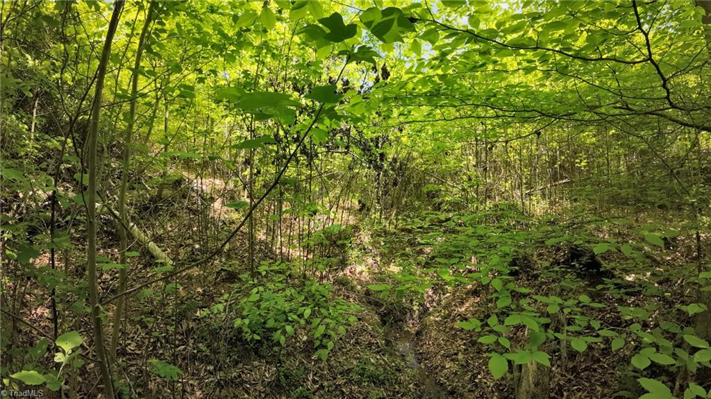 Tbd Factory Street Ronda, NC 28670 - Photo 4 of 15