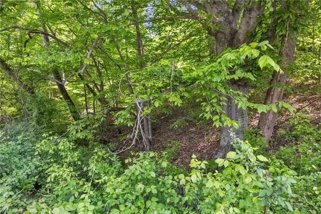 $79,900 | Tbd Factory Street, Ronda, NC 28670