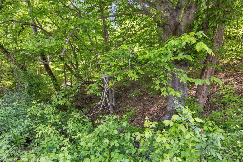 Tbd Factory Street Ronda, NC 28670 - Photo 5 of 15