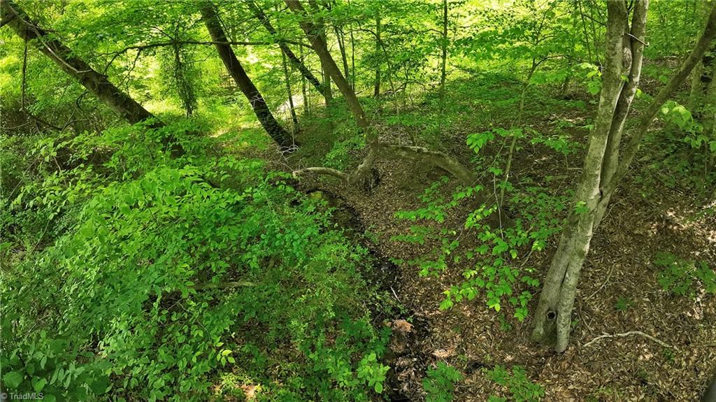 Tbd Factory Street Ronda, NC 28670 - Photo 6 of 15