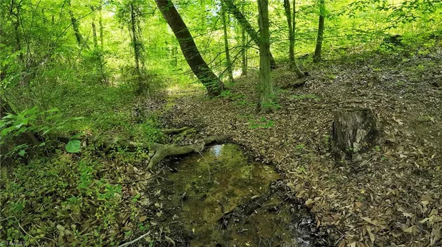 $79,900 | Tbd Factory Street, Ronda, NC 28670