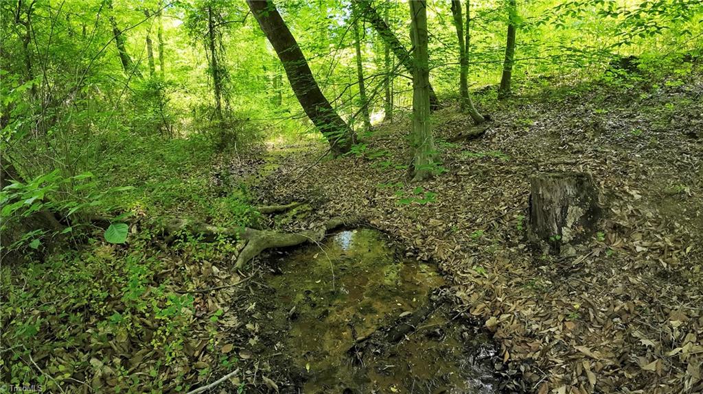 Tbd Factory Street Ronda, NC 28670 - Photo 7 of 15