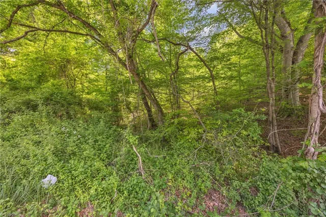 $79,900 | Tbd Factory Street, Ronda, NC 28670