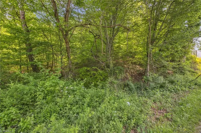 $79,900 | Tbd Factory Street, Ronda, NC 28670