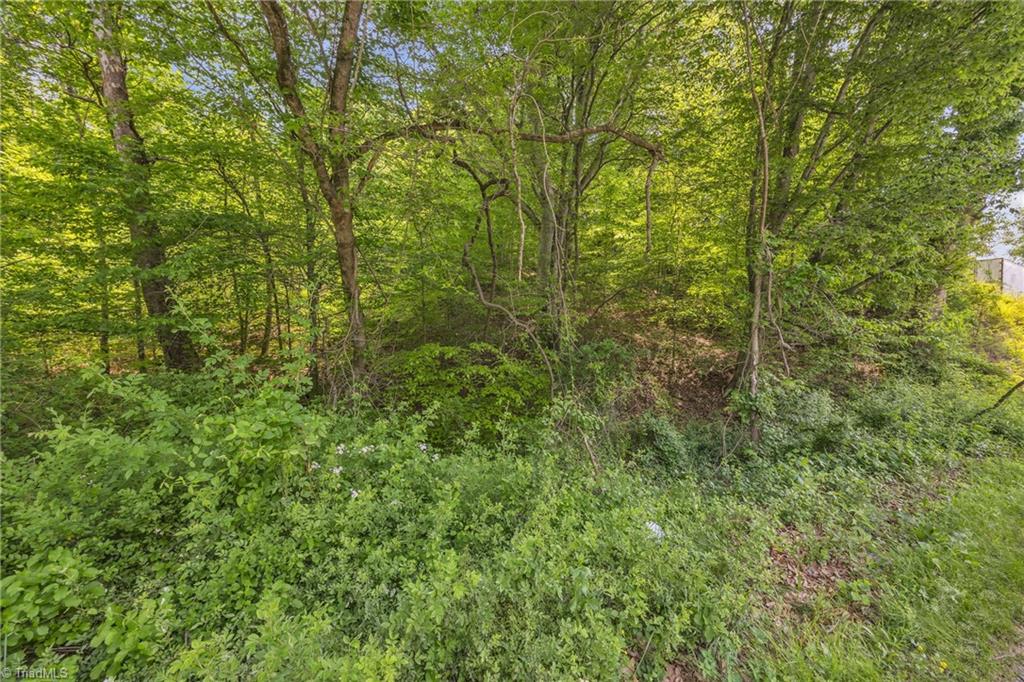 Tbd Factory Street Ronda, NC 28670 - Photo 9 of 15