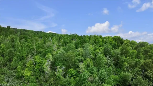 $79,900 | Tbd Factory Street, Ronda, NC 28670