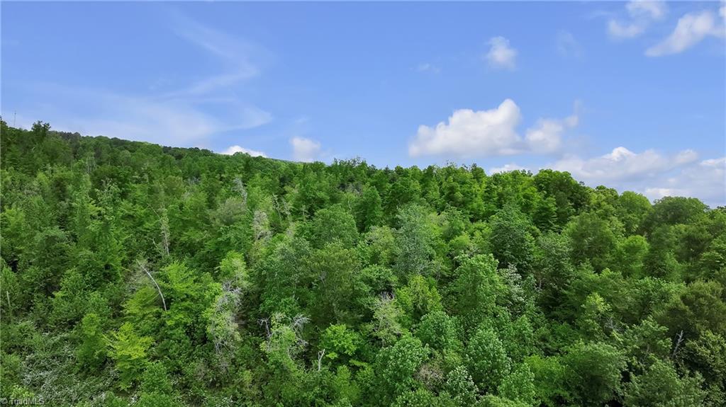 Tbd Factory Street Ronda, NC 28670 - Photo 10 of 15