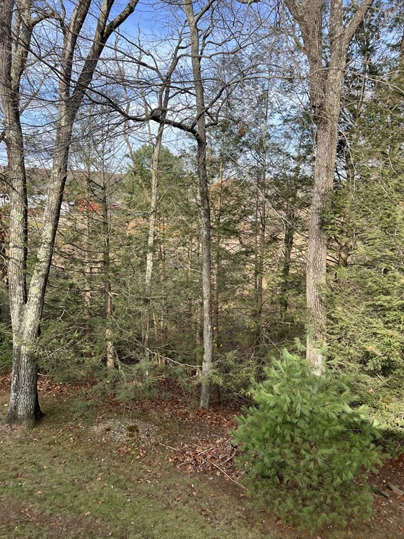 41 G H Wilson Road Spencer, MA 01562 - Photo 3 of 16 Gallery Image 3