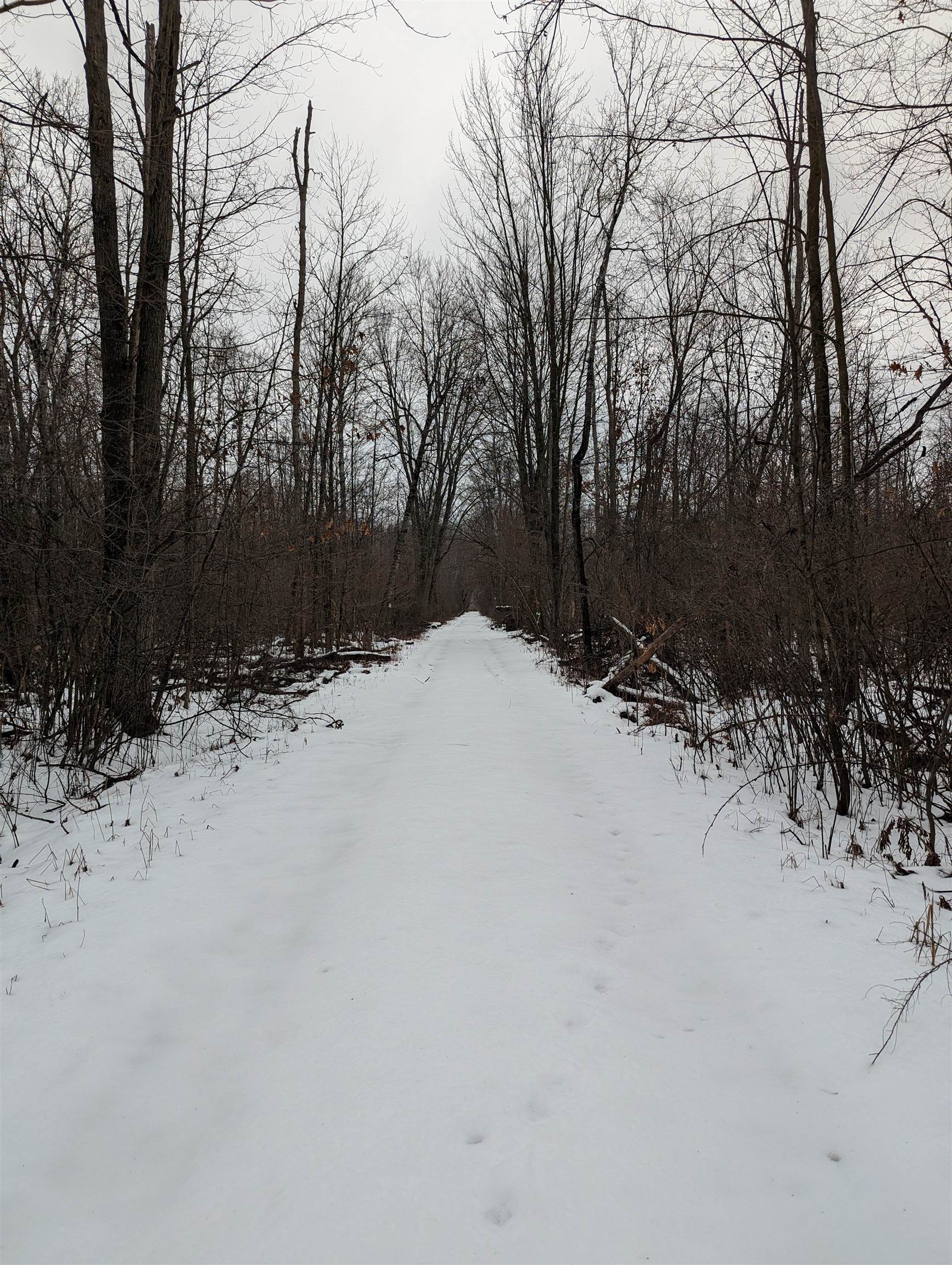 N/a N/a Nolbock Road Omer, MI 48749 - Photo 1 of 17