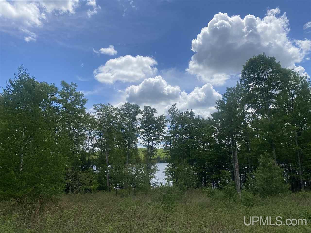 Tbd West Tamarack Lake Road, Unit 17 Iron River, MI 49935 - Photo 44 of 45