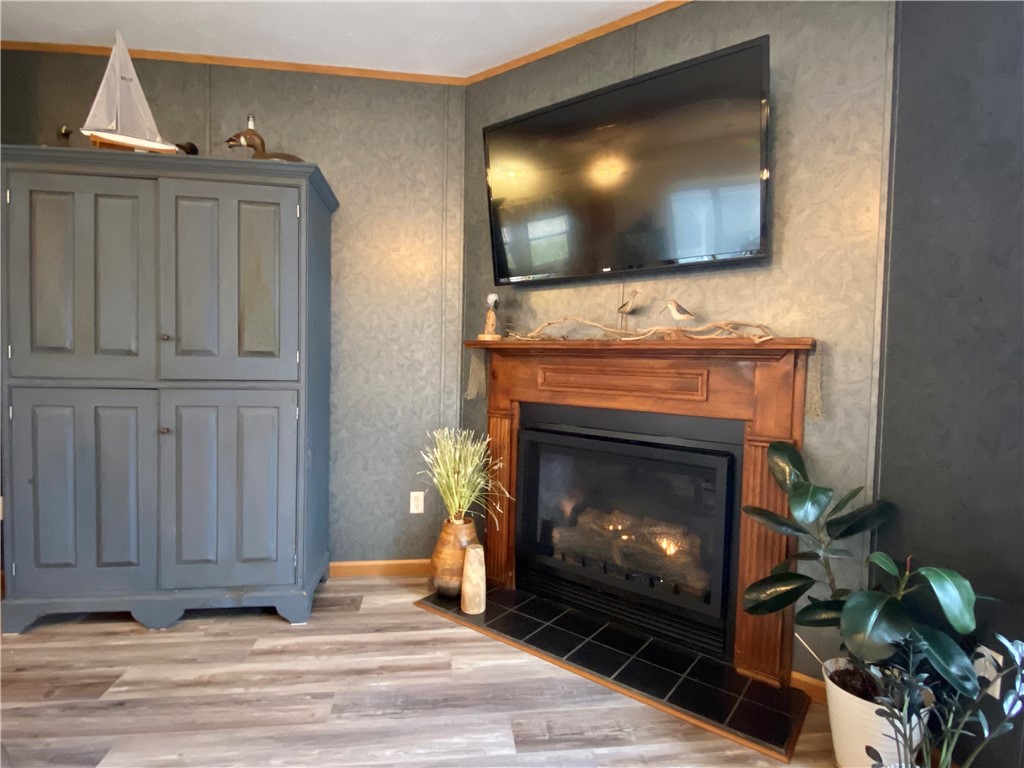 8681 Lower Lake Road Lodi, NY 14860 - Photo 10 of 46 Fireplace for this time of year!