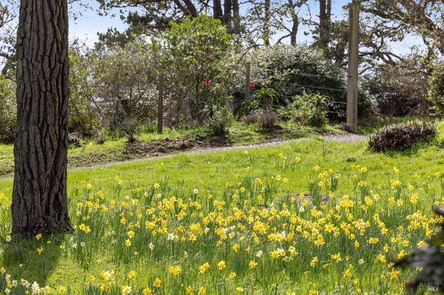 $4,498,000 | 1208-1214 Pierce Point Road, Inverness, CA 94937