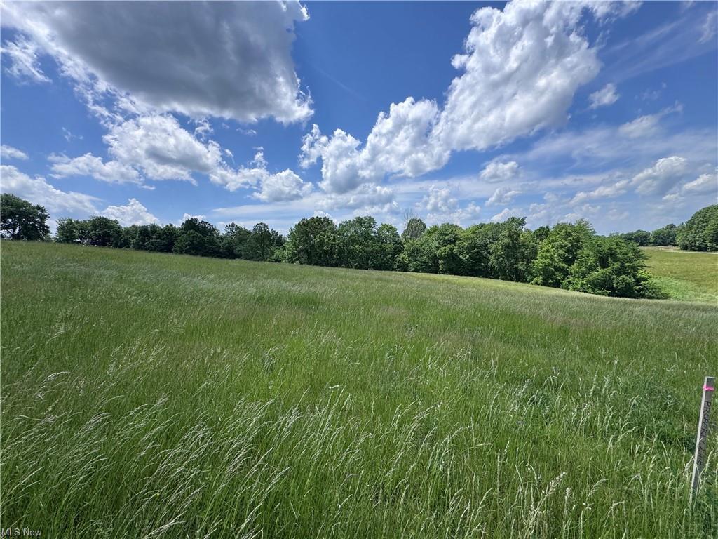 0 Johnson Ridge Road Stockport, OH 43787 - Photo 16 of 16 16