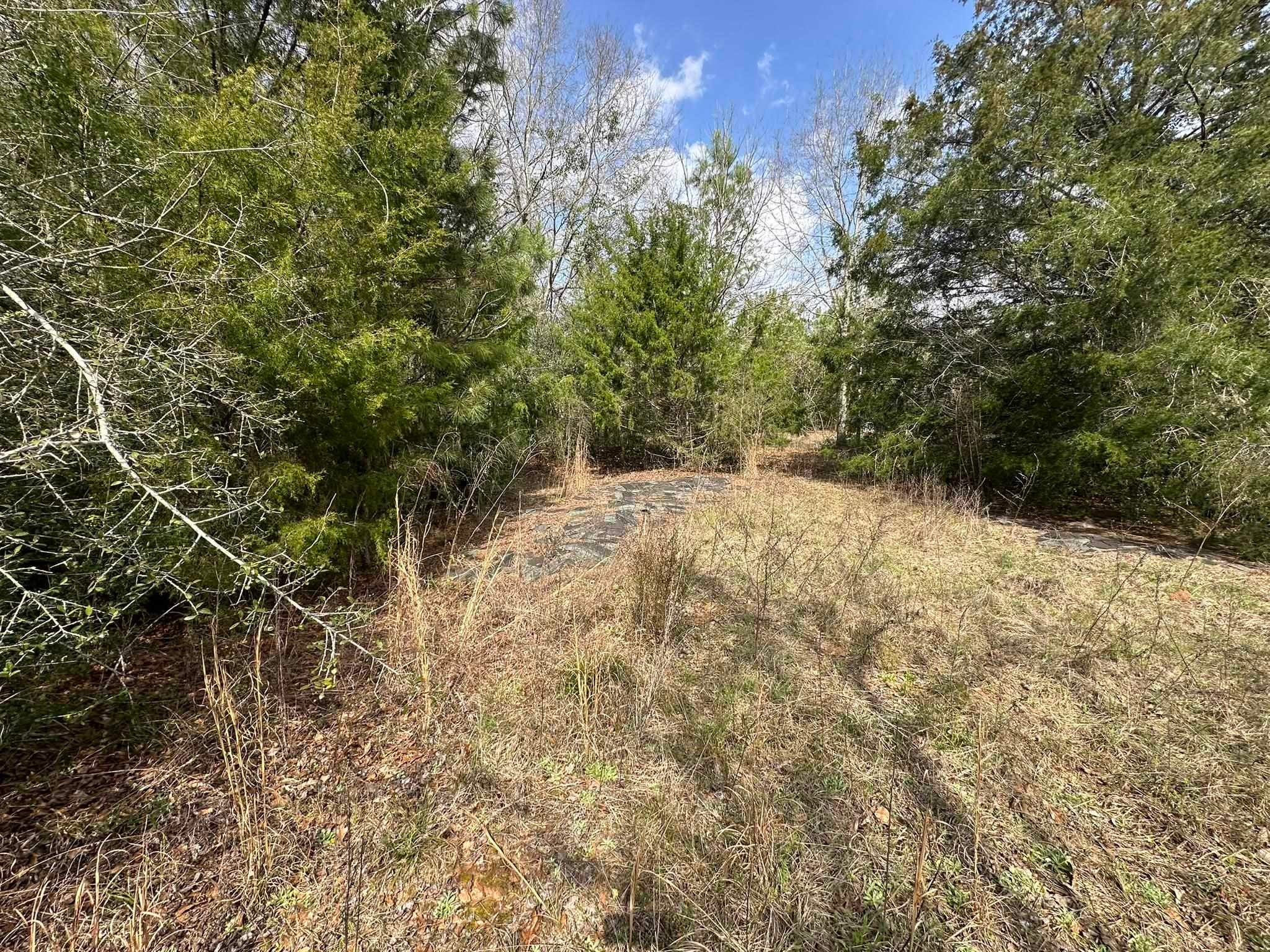 0 Piney Grove Road Opp, AL 36467 - Photo 9 of 20 Gallery Image 9