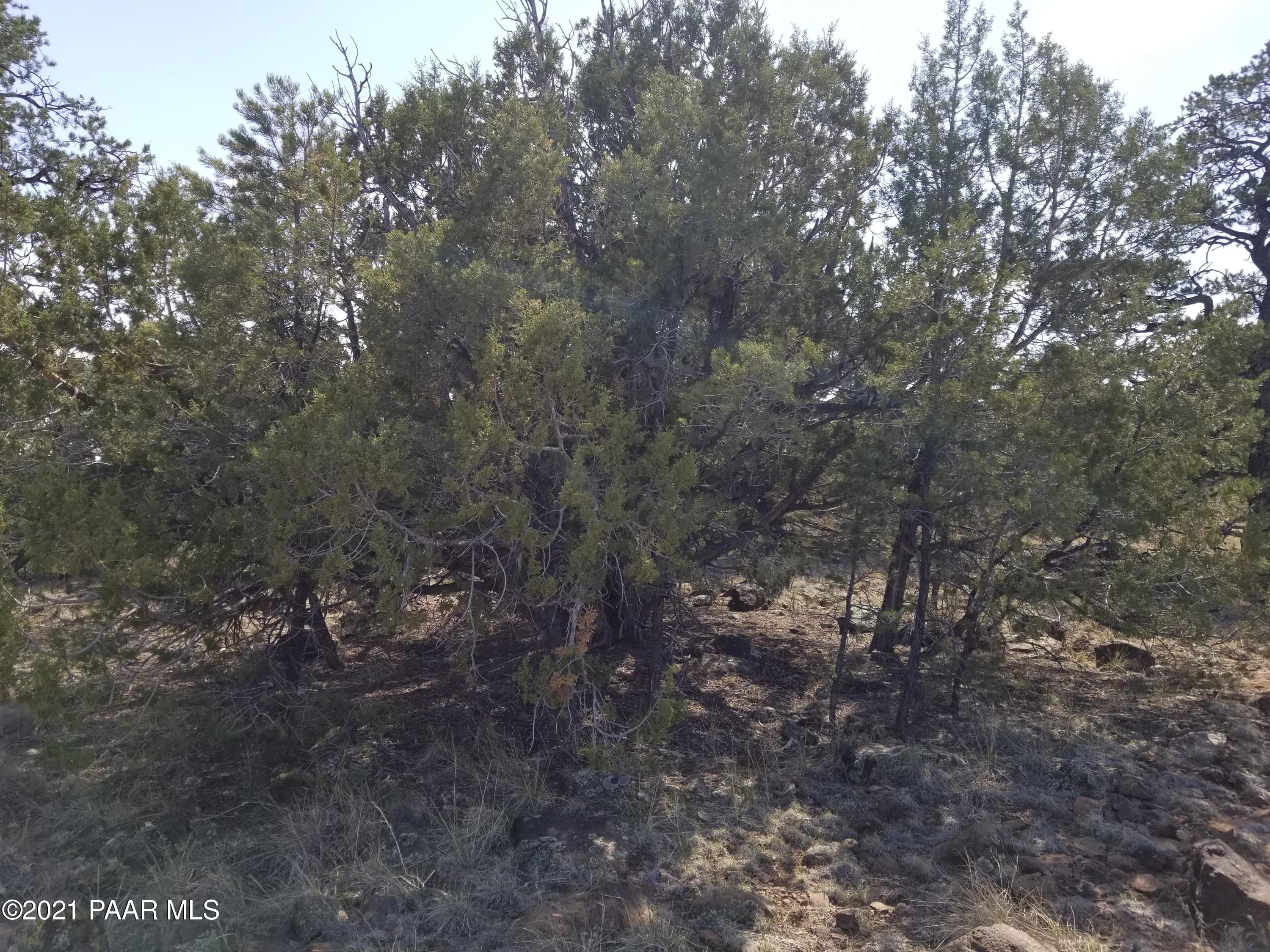 1522 Bucks Road Seligman, AZ 86337 - Photo 1 of 1 Bucks Rd