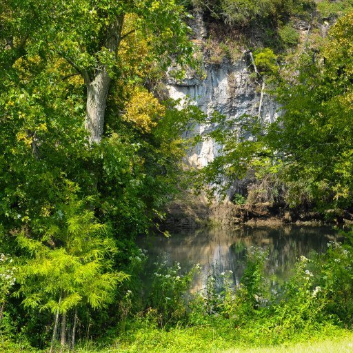 2380 Holston View Road New Market, TN 37820 - Photo 4 of 37 Additional Photo