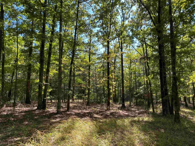 $49,999 | 1 Lakeway Lane, Savannah, TN 38372