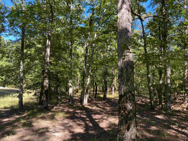 $49,999 | 1 Lakeway Lane, Savannah, TN 38372