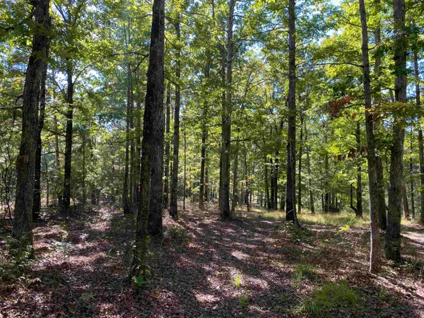 $49,999 | 1 Lakeway Lane, Savannah, TN 38372