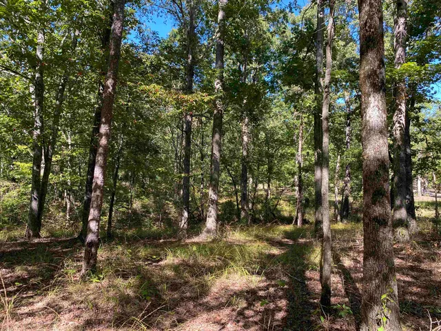 $49,999 | 1 Lakeway Lane, Savannah, TN 38372