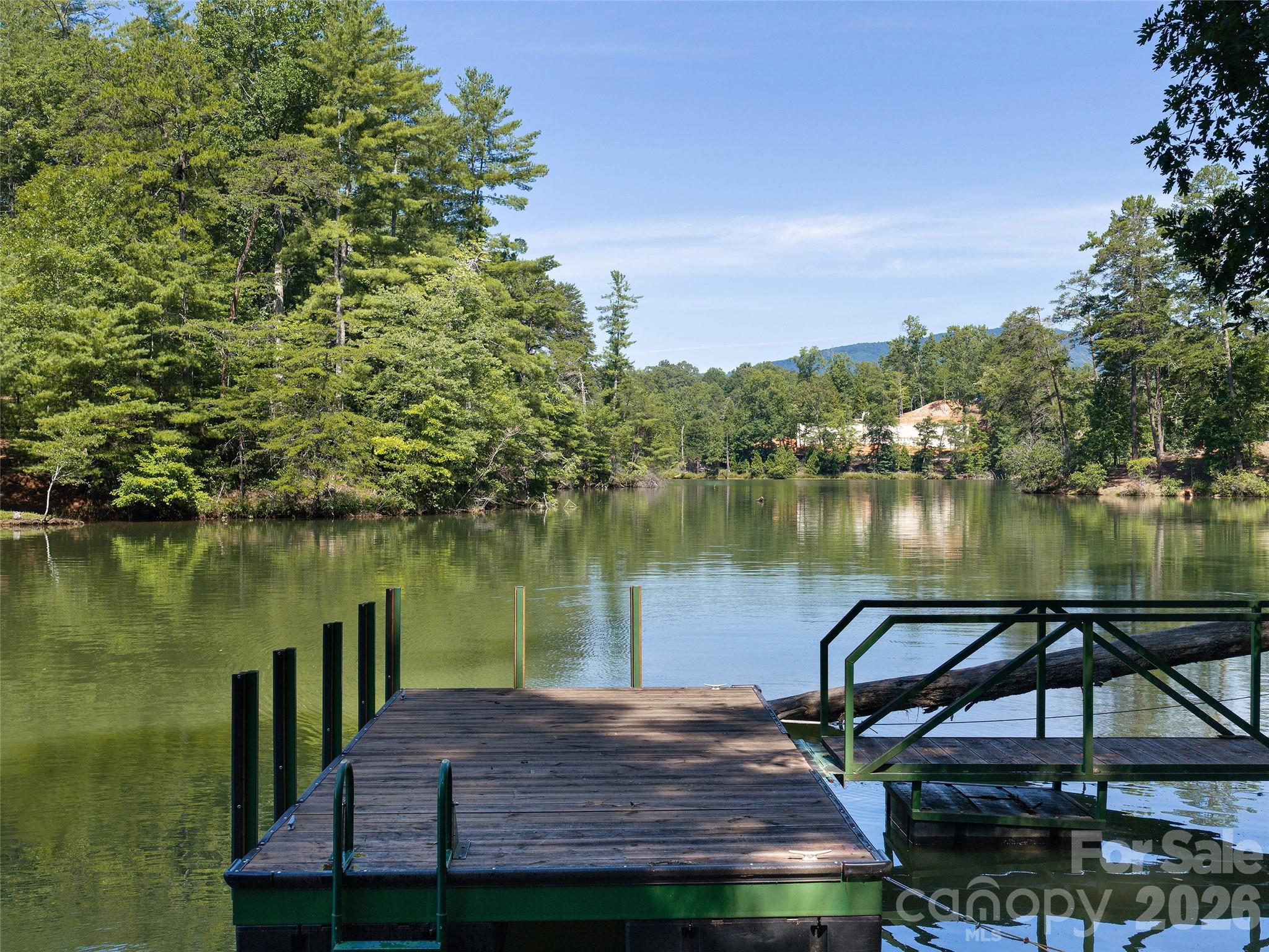 Lot #13 South Cove Rd Mill Spring Mill Spring, NC 28756 - Photo 3 of 16 a view of a lake