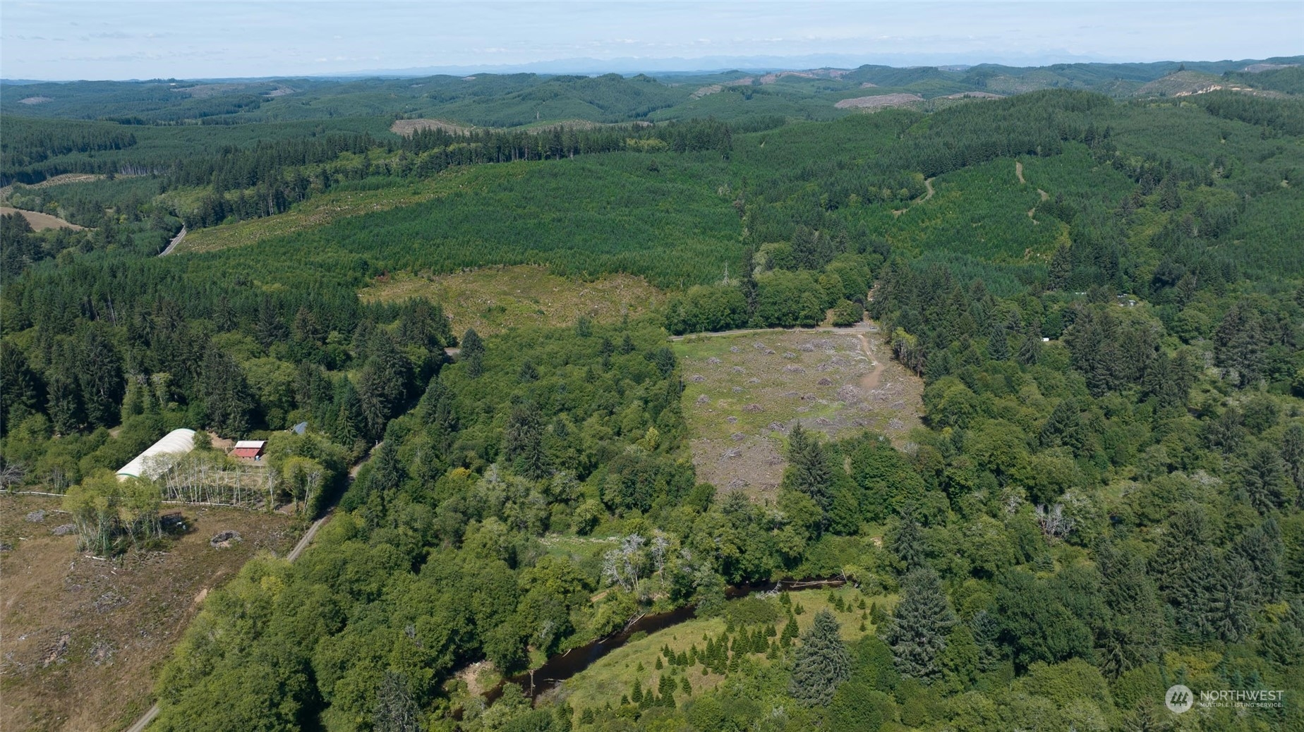 1-xx Primo Road Cosmopolis, WA 98537 - Photo 11 of 20 a view of a lush green forest with trees and some houses