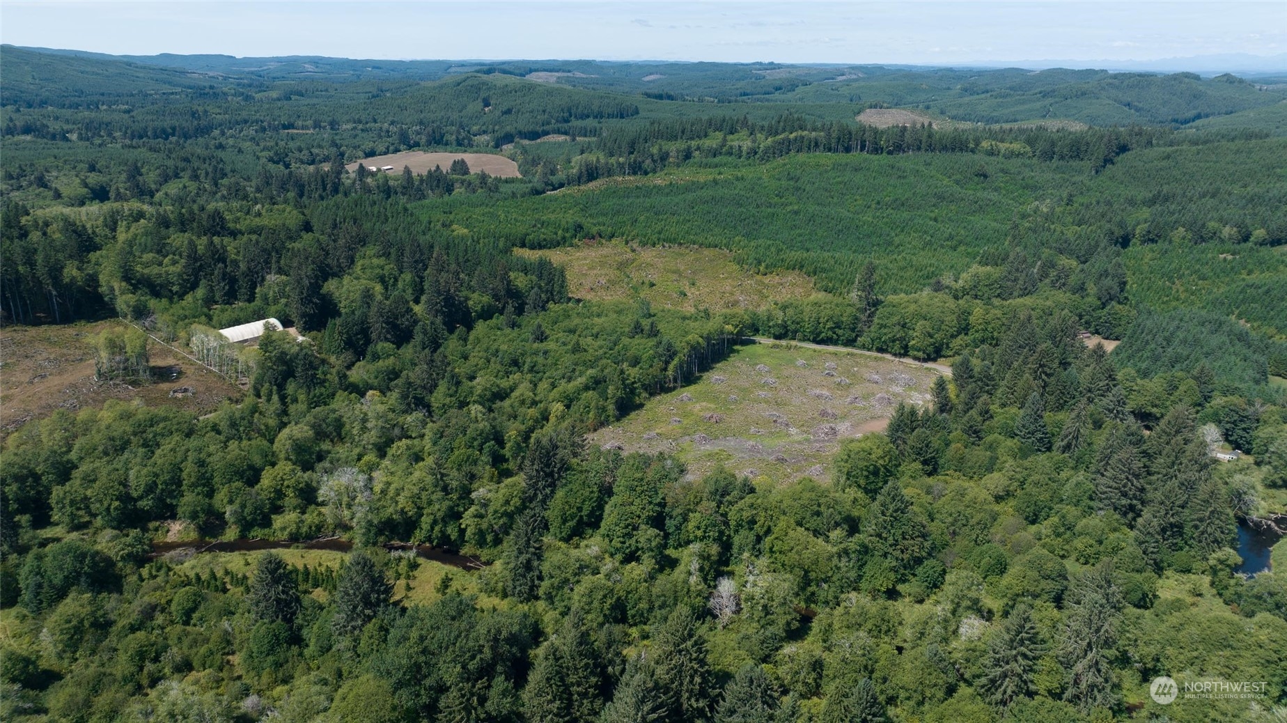 1-xx Primo Road Cosmopolis, WA 98537 - Photo 12 of 20 a view of a green field with lots of bushes