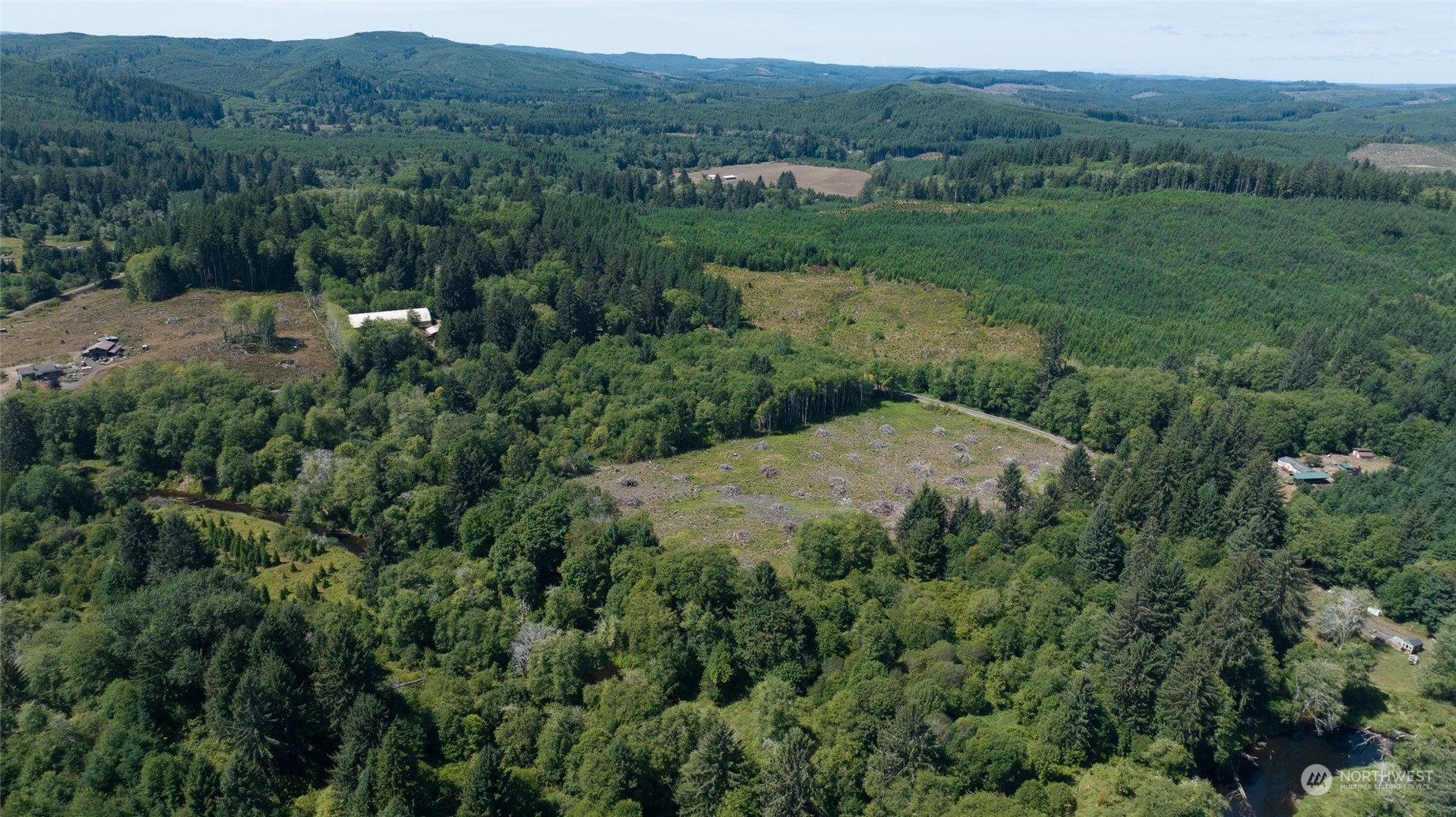 1-xx Primo Road Cosmopolis, WA 98537 - Photo 13 of 20 an aerial view of green landscape with trees houses and mountain view