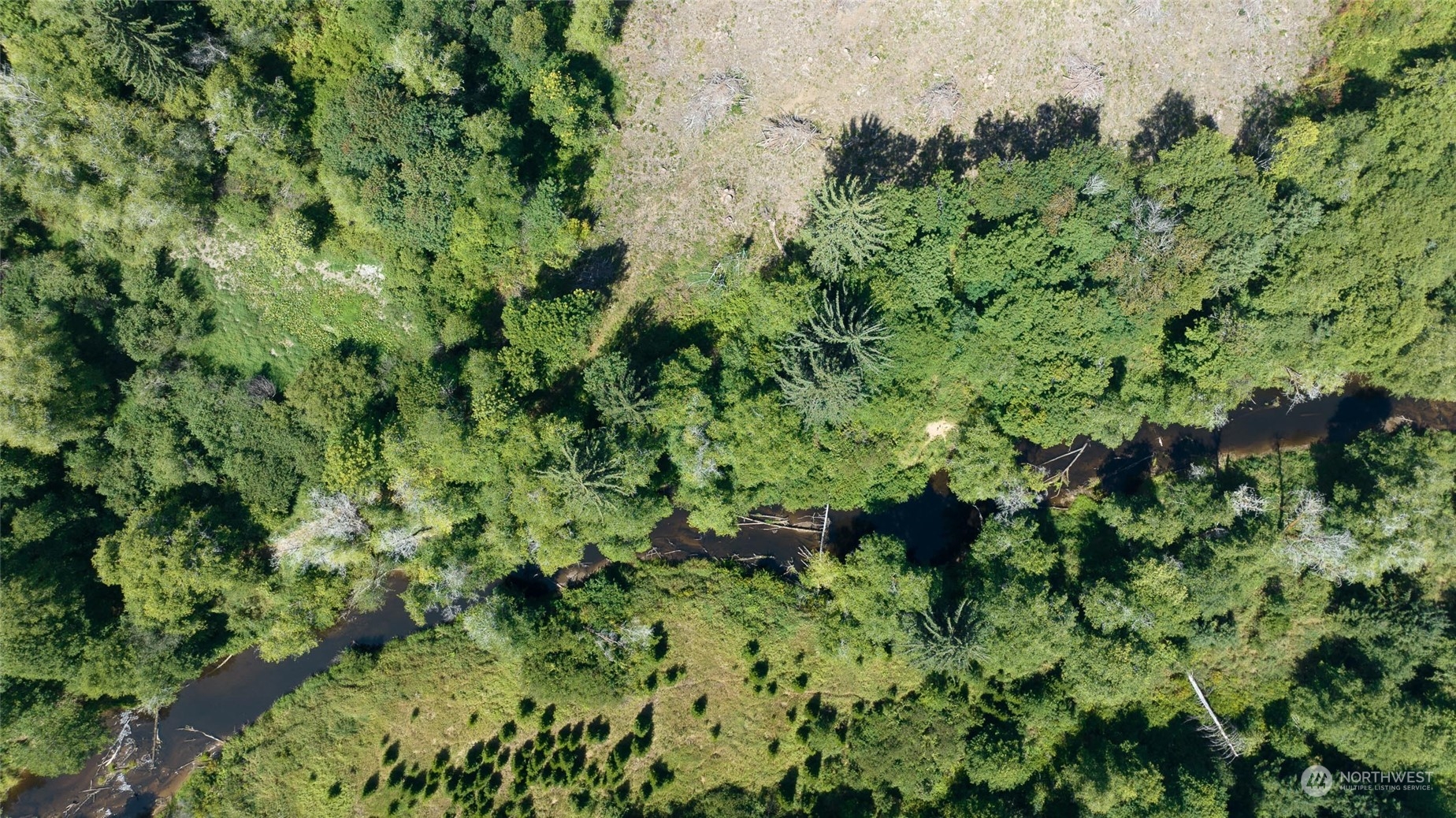 1-xx Primo Road Cosmopolis, WA 98537 - Photo 17 of 20 a view of a garden with a plant